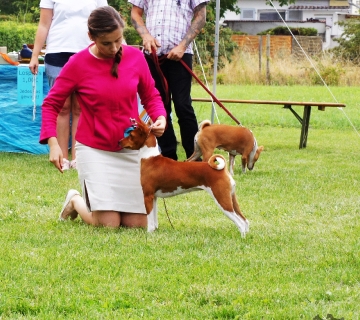 BKD Club Show Germany