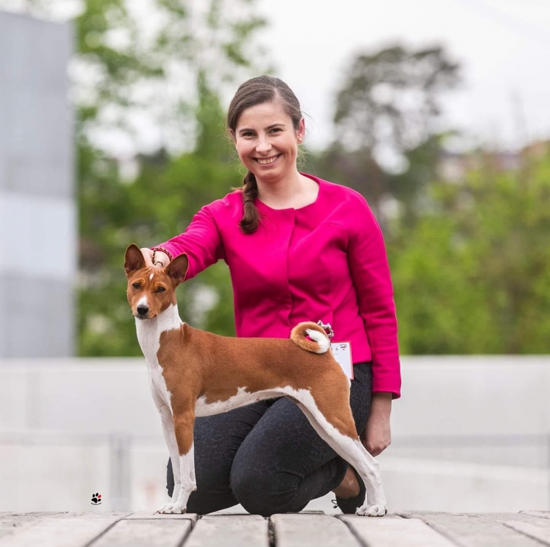 15.06.19 EURO DOG SHOW WELS