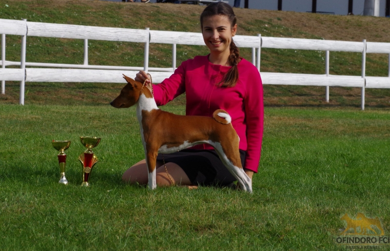 26.08.18 International Show in Mlada Boleslav (CZ)