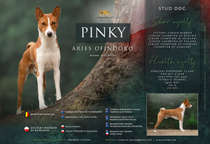 Pinky reproduktorem !!!