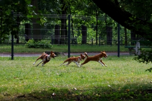 New photos and galleries!